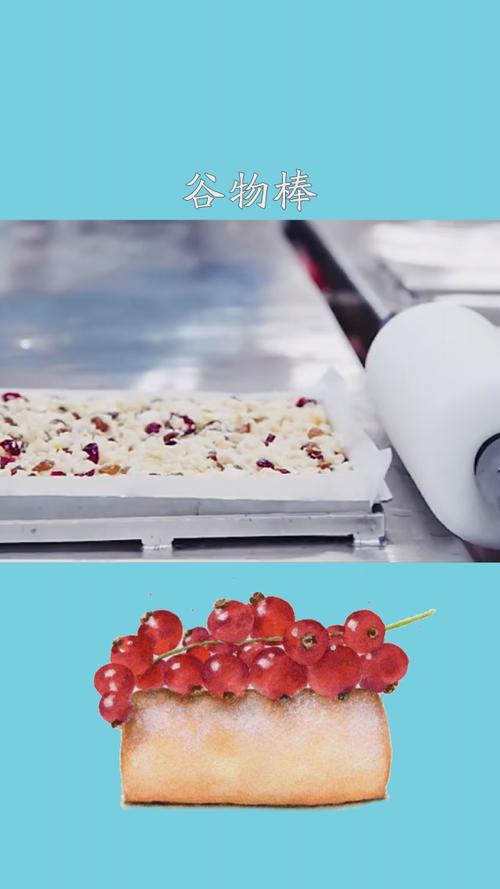 食品超级工厂一天生产40万支谷物棒#谷物棒#百万视友赐神评
